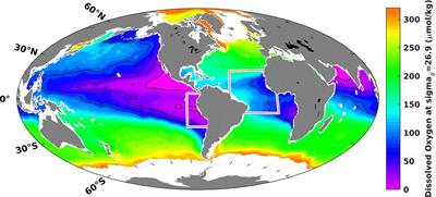 Climate-Biogeochemistry Interactions in the Tropical Ocean: Data Collection and Legacy